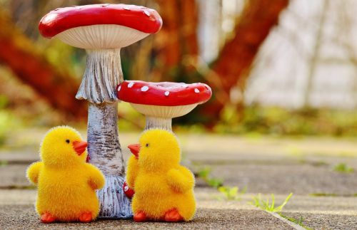 chicks easter mushrooms