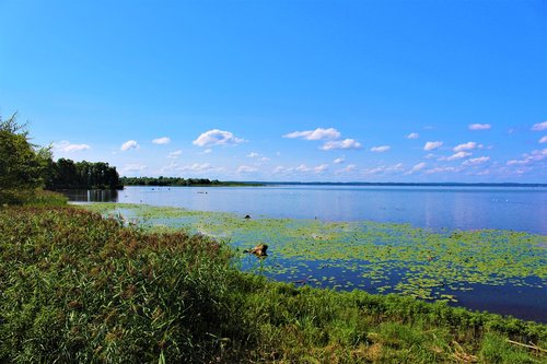 chiemsee  nature reserve  view