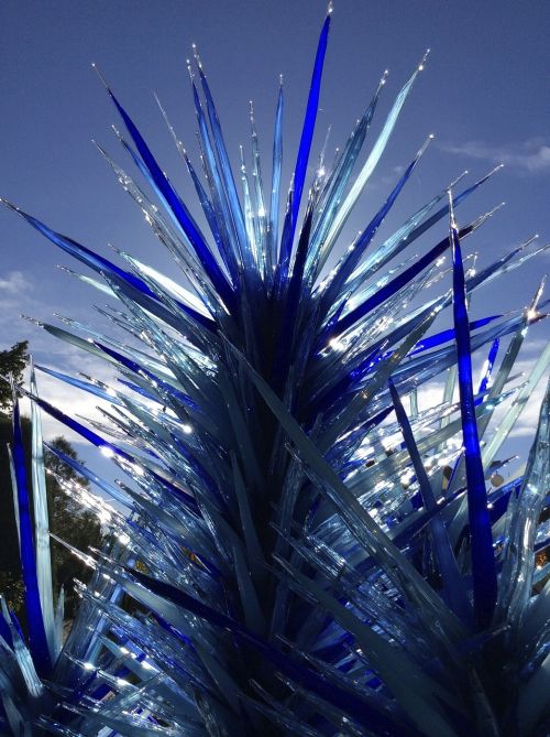 chihuly botanic gardens denver