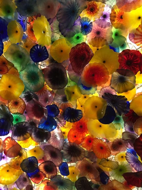chihuly pattern color