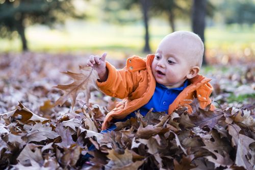 child forest playing