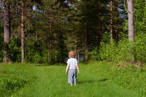 child wood forest