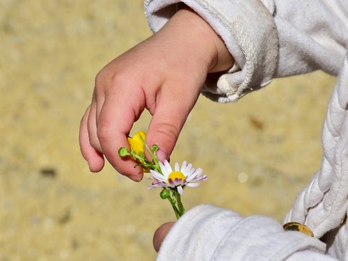 child  girl  hand