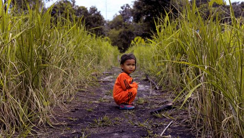 child  nature  plant