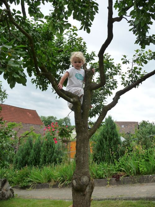 child tree climb