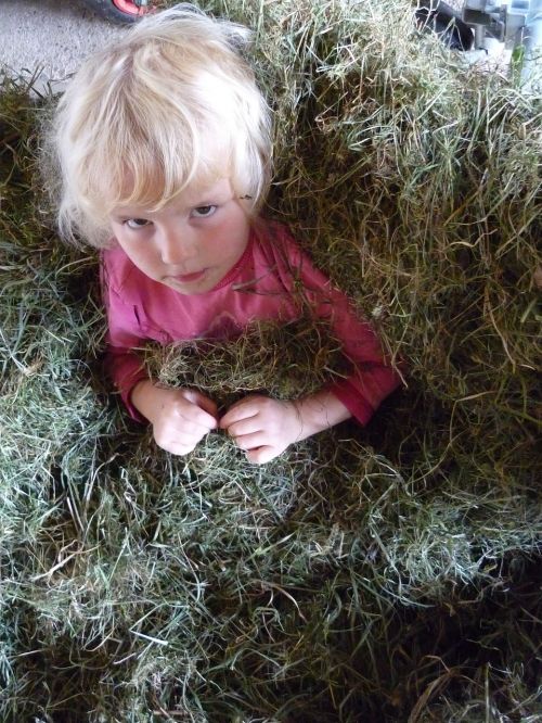 child hay straw