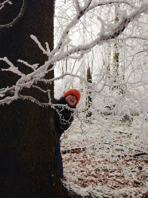 child winter forest winter