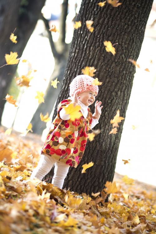 Child Playing With Autumn Leaves