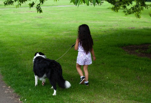 child with dog  child  dog walking