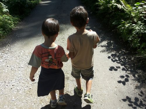children brothers walk