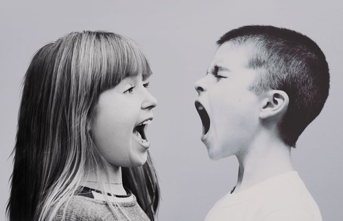 children  dispute  shouts