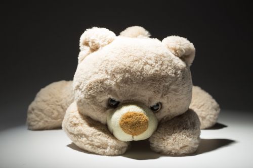 children teddy bear plush