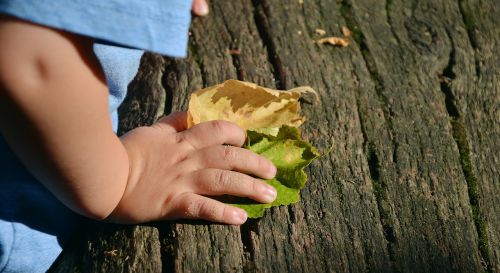 child's hand hand access