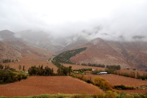 chile elqui valley pisco