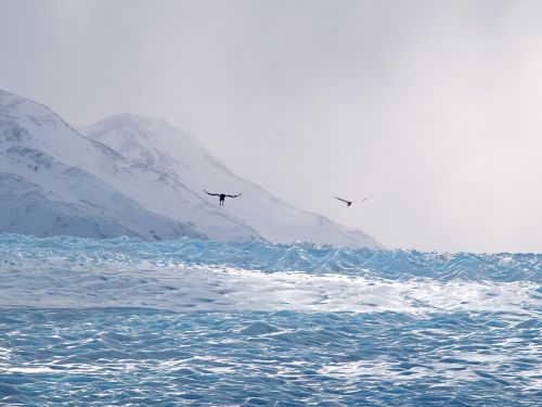 chile glacier patagonia