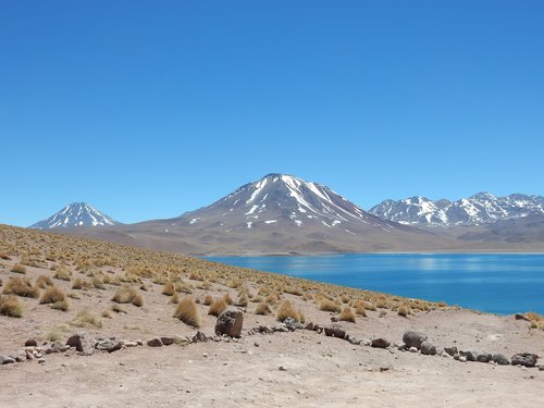 chile  laguna miniques  desert