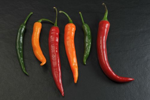 chili spicy kitchen