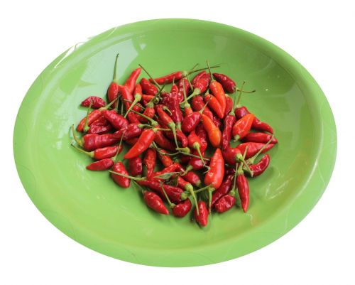 chili food vegetable