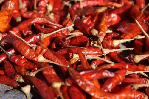 chili chilli pepper red
