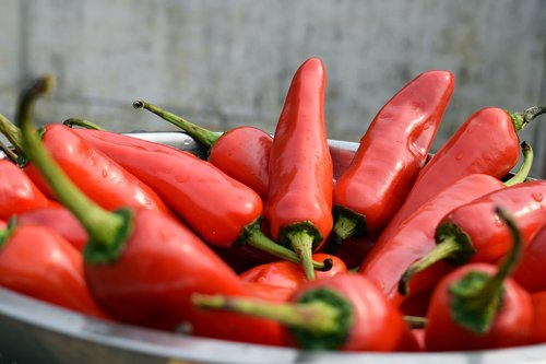 chili  red  fresh