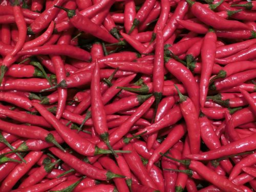 chili spice red