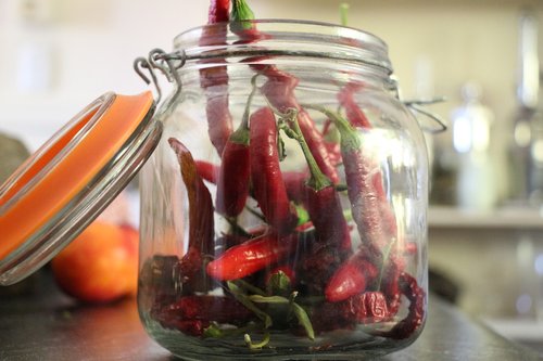 chili  hot  pepper