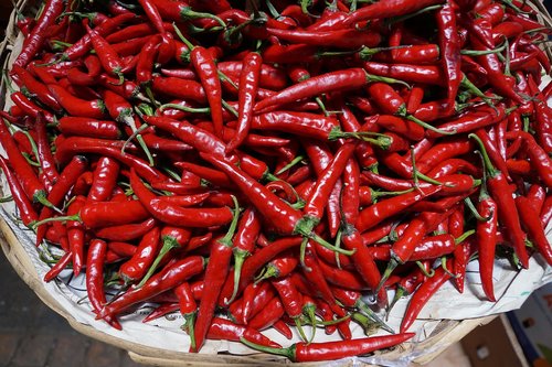 chili  red  sharp