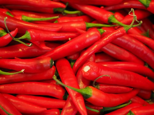 chili red sharp