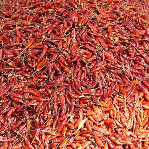 chili spice market