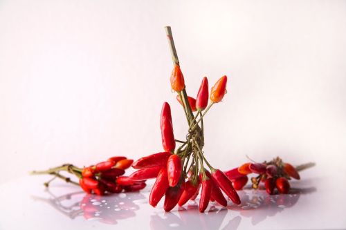 chili spice chili peppers