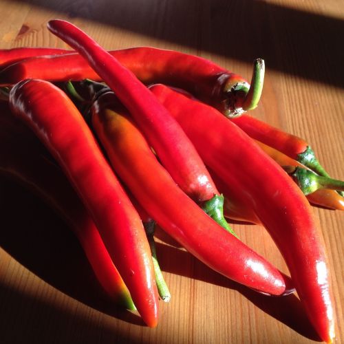 chili pepper spicy garden