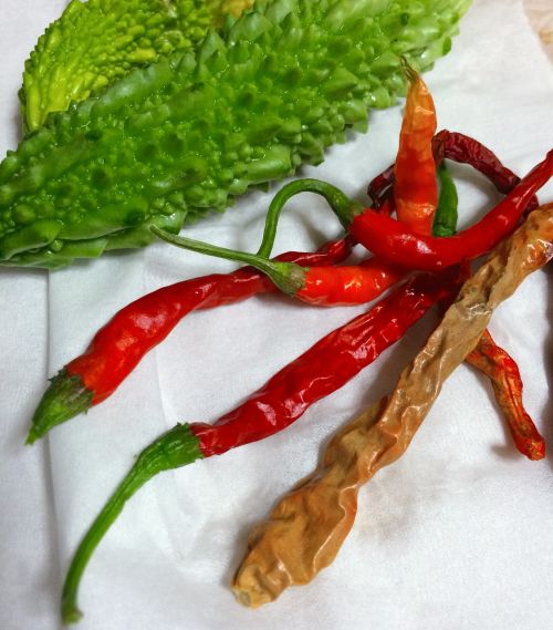 chili pepper gouya vegetables