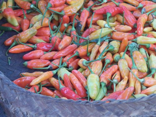 chili pepper red market