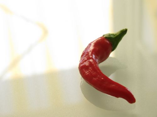 chili pepper pepper red