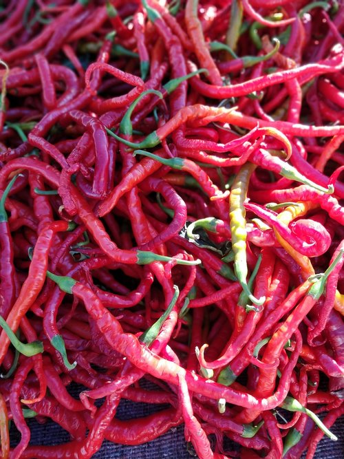 chili pepper  spice  red