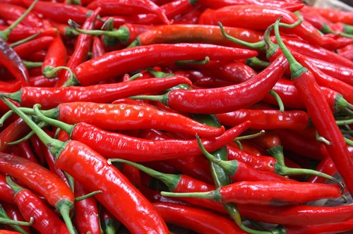 chili pepper  market  vegetables