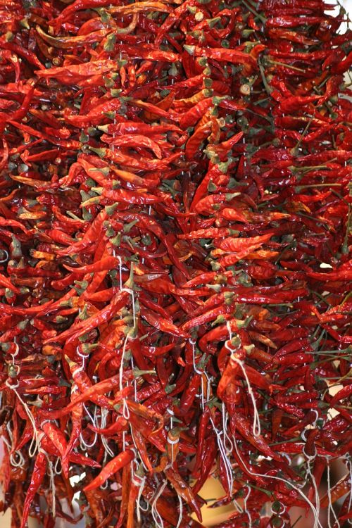 chili pepper market spice