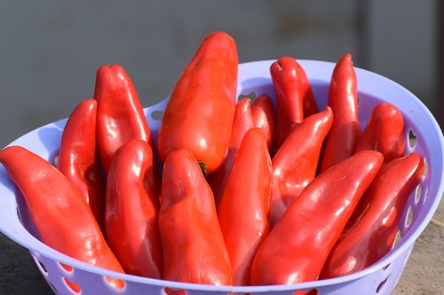chilies  red  chili