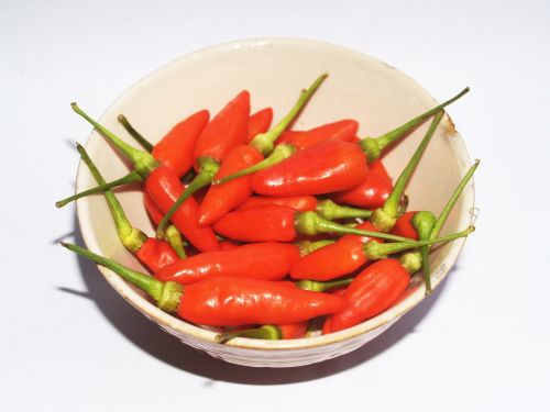 chilli pepper red