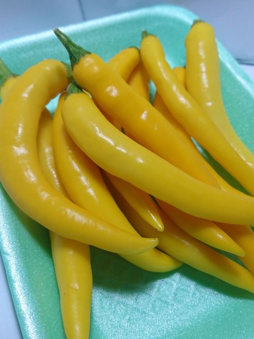 chilli yellow chillies hot peppers