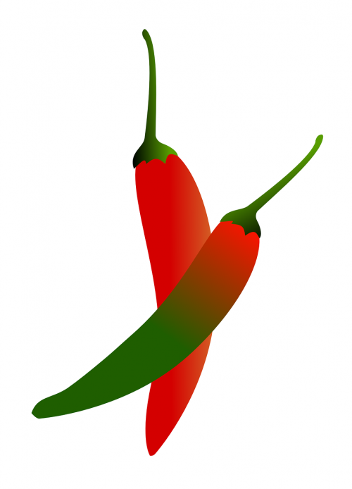 chilli pepper food vegetable