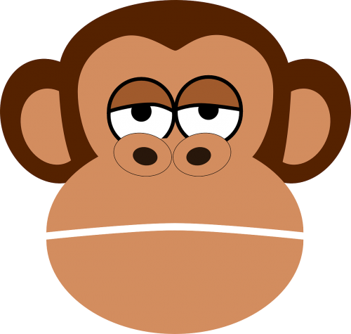 chimp monkey face