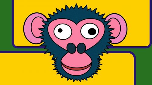 chimpanzee yellow blue