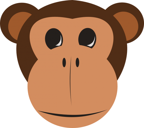 chimpanzee monkey ape