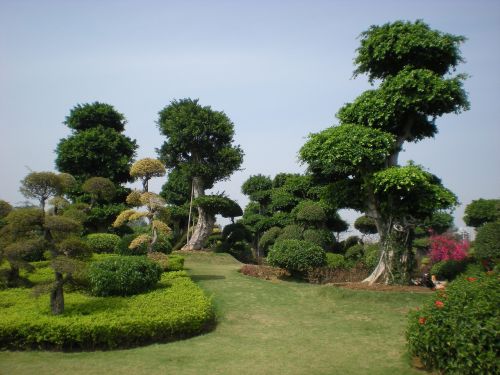 china garden nature