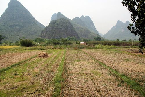 china yangshuo landscape