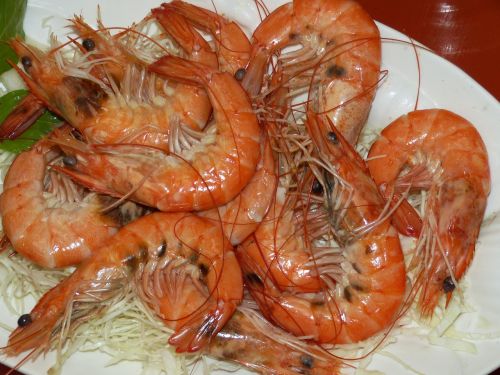 china eat shrimp