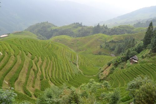 china rice paddies terraces