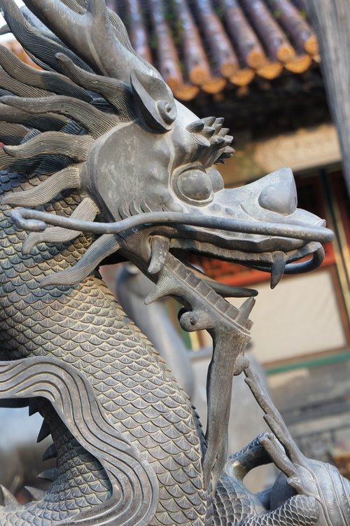china  dragon  oriental