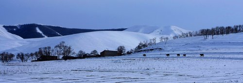 china  inner mongolia  scenery